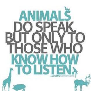 Animals speak to those who listen.